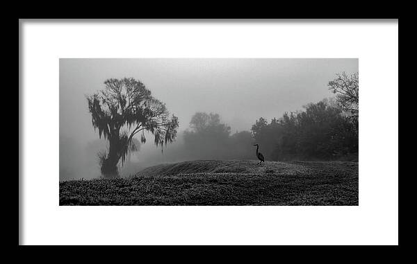 Quiet Hour - Framed Print