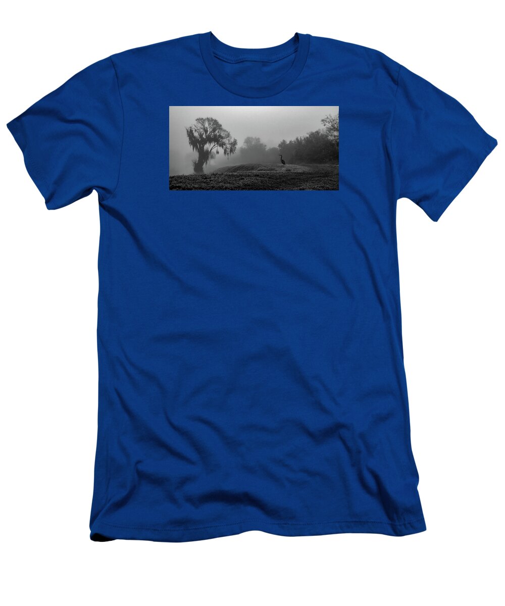 Quiet Hour - T-Shirt