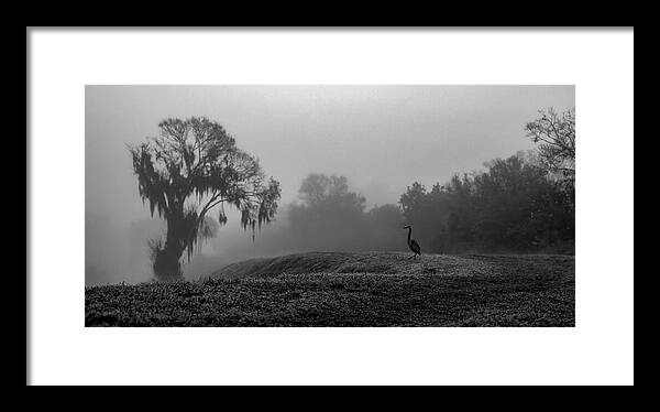 Quiet Hour - Framed Print
