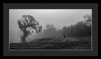 Quiet Hour - Framed Print