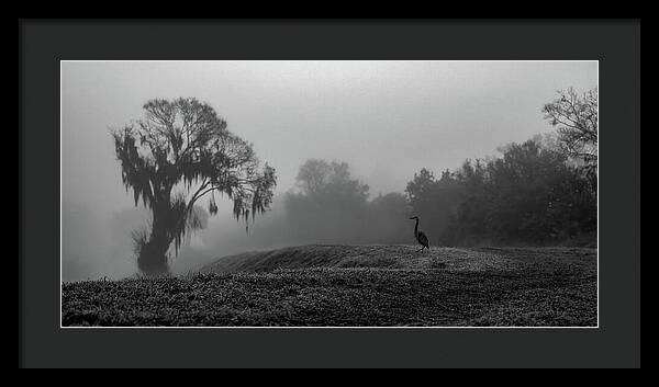 Quiet Hour - Framed Print