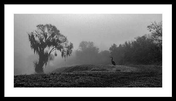 Quiet Hour - Framed Print