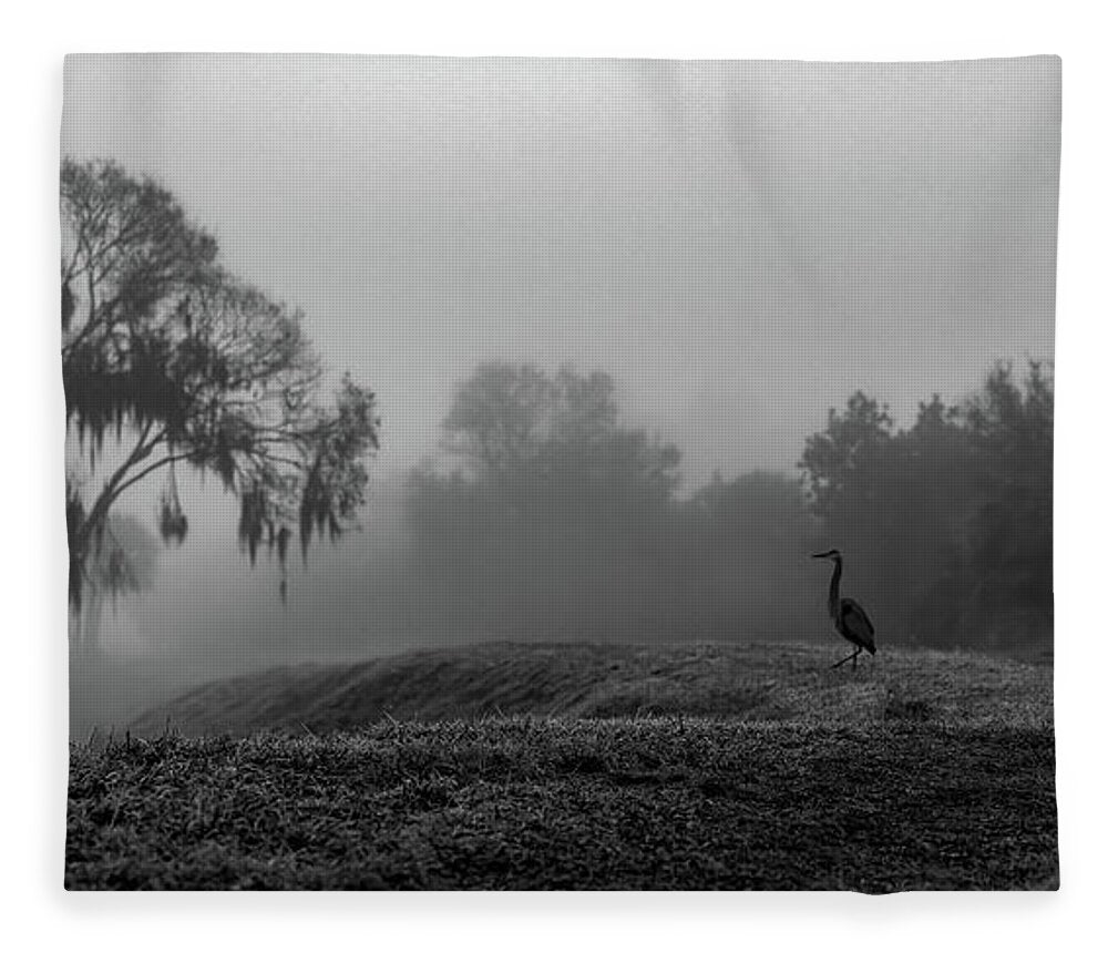 Quiet Hour - Blanket