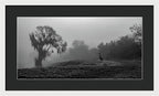 Quiet Hour - Framed Print