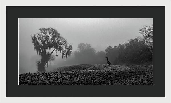 Quiet Hour - Framed Print