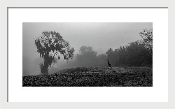 Quiet Hour - Framed Print