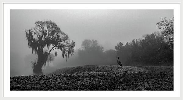 Quiet Hour - Framed Print