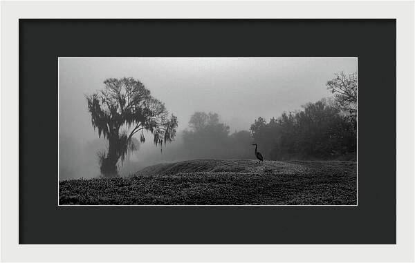 Quiet Hour - Framed Print