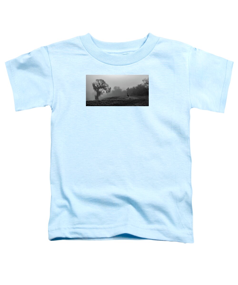 Quiet Hour - Toddler T-Shirt