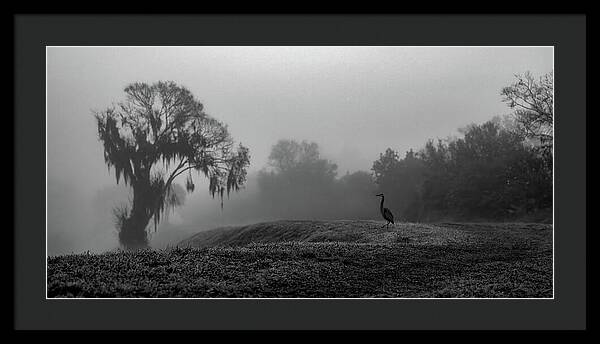 Quiet Hour - Framed Print