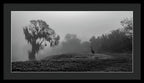 Quiet Hour - Framed Print