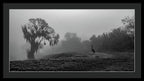 Quiet Hour - Framed Print