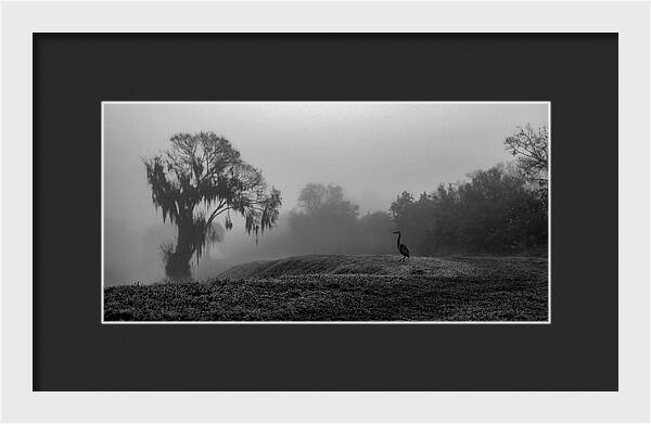 Quiet Hour - Framed Print