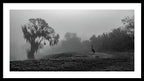 Quiet Hour - Framed Print
