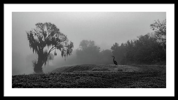 Quiet Hour - Framed Print