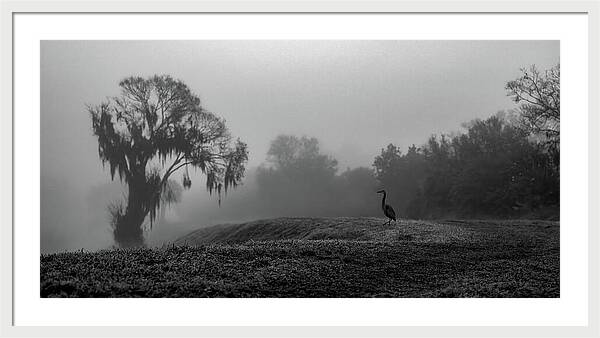 Quiet Hour - Framed Print