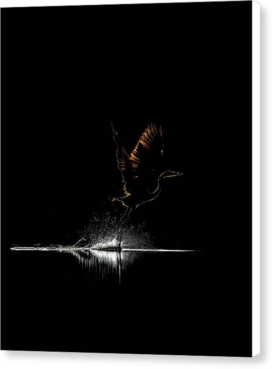 Razors Edge - Canvas Print