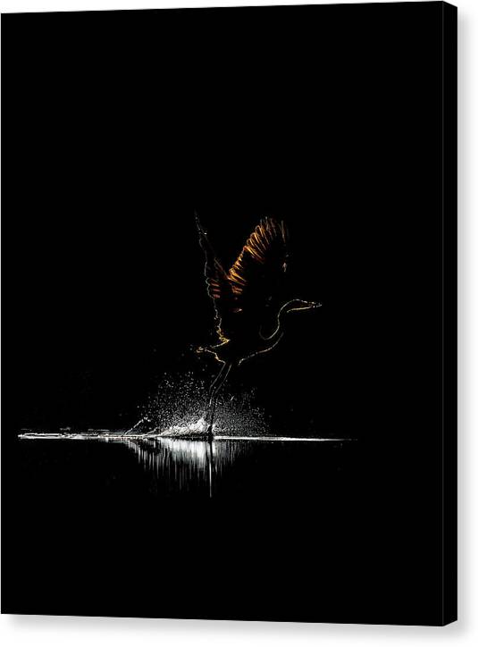 Razors Edge - Canvas Print