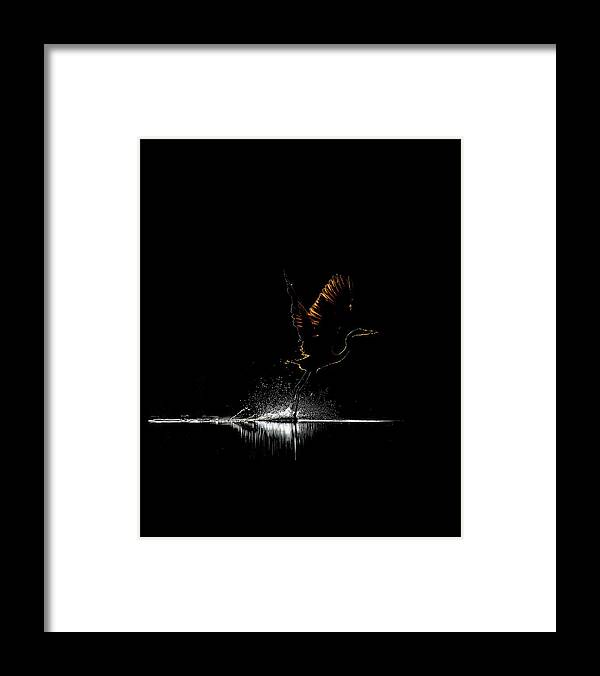 Razors Edge - Framed Print