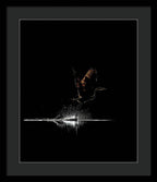 Razors Edge - Framed Print