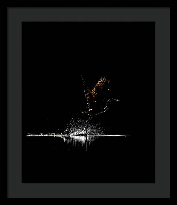 Razors Edge - Framed Print