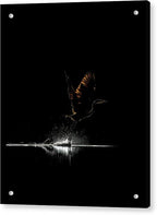 Razors Edge - Acrylic Print