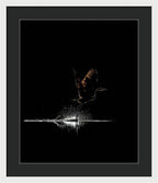 Razors Edge - Framed Print