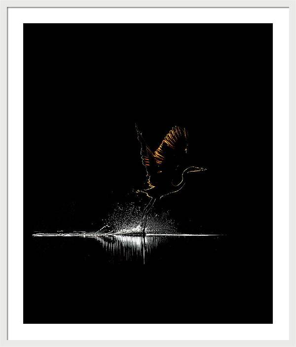 Razors Edge - Framed Print