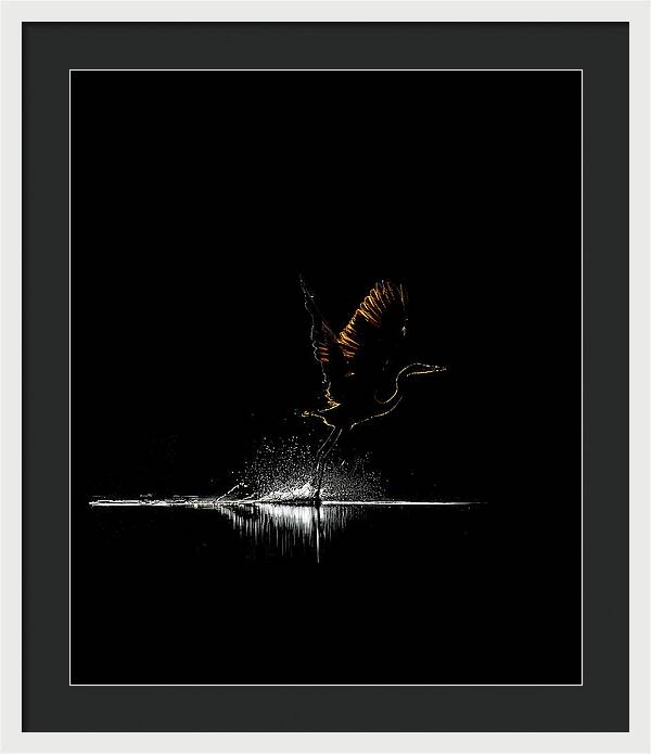 Razors Edge - Framed Print