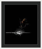 Razors Edge - Framed Print