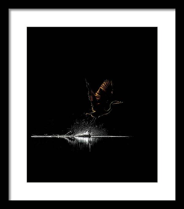 Razors Edge - Framed Print