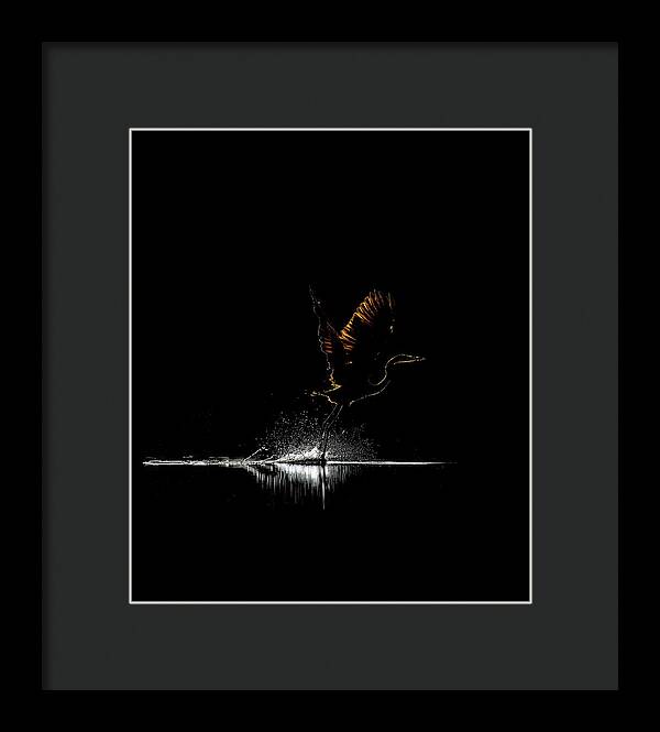 Razors Edge - Framed Print