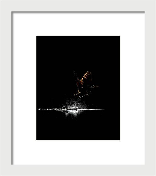 Razors Edge - Framed Print