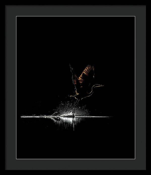Razors Edge - Framed Print