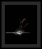 Razors Edge - Framed Print