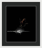 Razors Edge - Framed Print