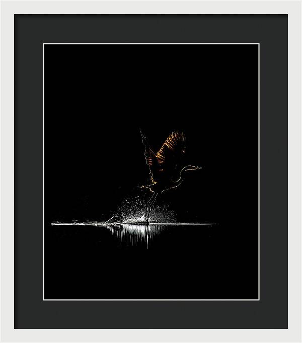 Razors Edge - Framed Print