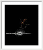 Razors Edge - Framed Print