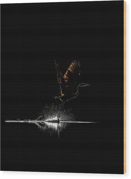 Razors Edge - Wood Print