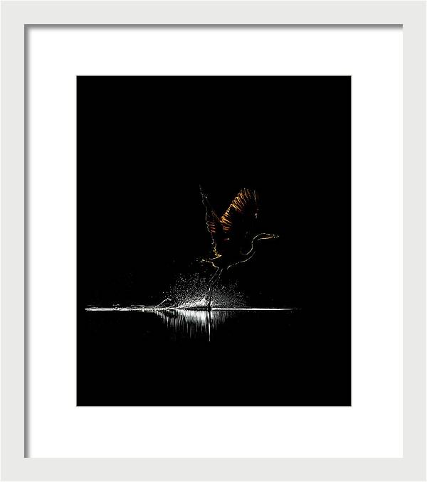 Razors Edge - Framed Print