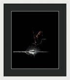 Razors Edge - Framed Print