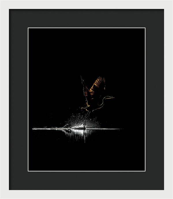 Razors Edge - Framed Print