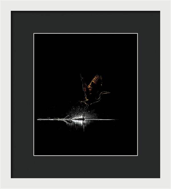 Razors Edge - Framed Print