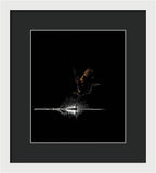 Razors Edge - Framed Print