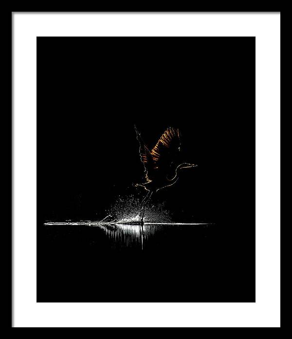 Razors Edge - Framed Print