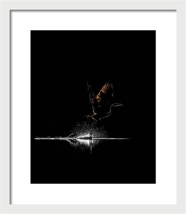 Razors Edge - Framed Print