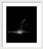 Razors Edge - Framed Print