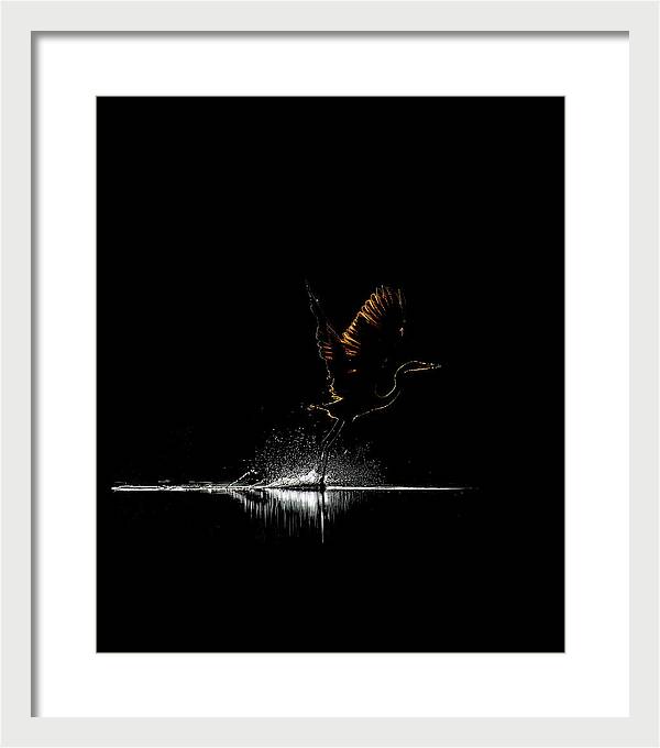 Razors Edge - Framed Print