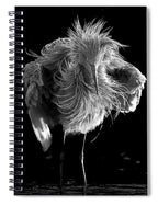 Rousing - Spiral Notebook