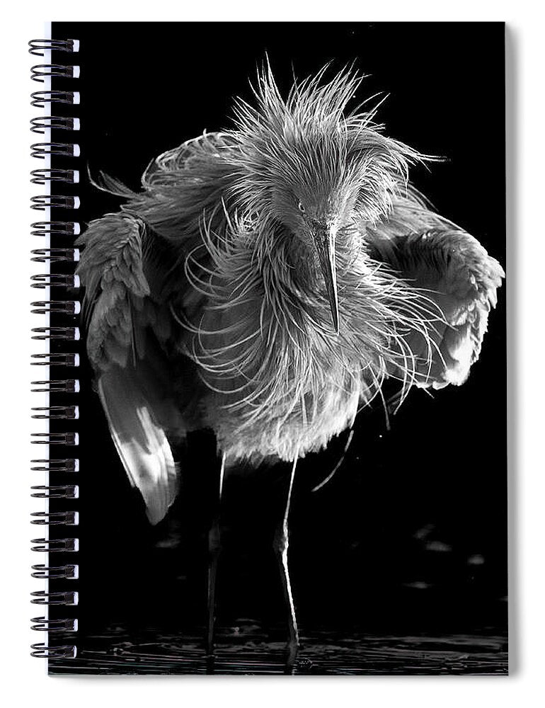 Rousing - Spiral Notebook